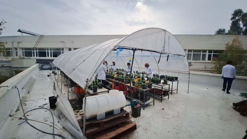 ‘LABORATUVAR VE İKLİM ODALARINDAN SONRA KAPIMIZ BU TÜNELE AÇILIYOR’