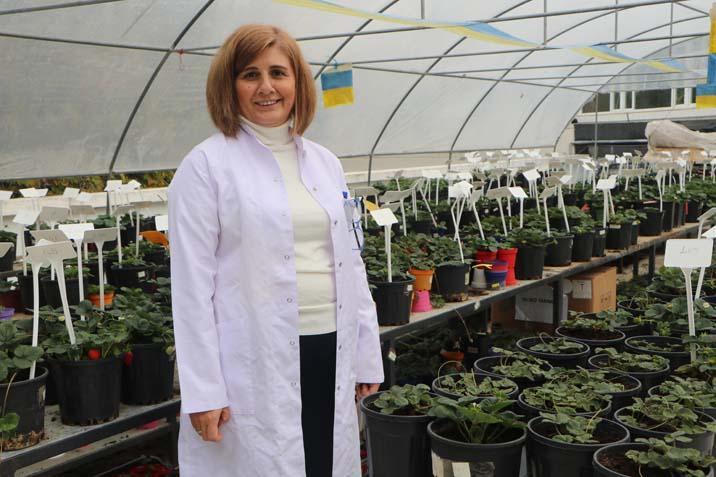 Çukurova Üniversitesi’nde profesörden ilginç çözüm Öğrenciler üşümesin diye terasa kurdu: Büyük avantaj