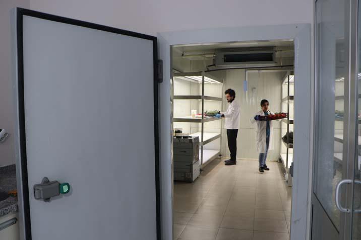 Çukurova Üniversitesi’nde profesörden ilginç çözüm Öğrenciler üşümesin diye terasa kurdu: Büyük avantaj