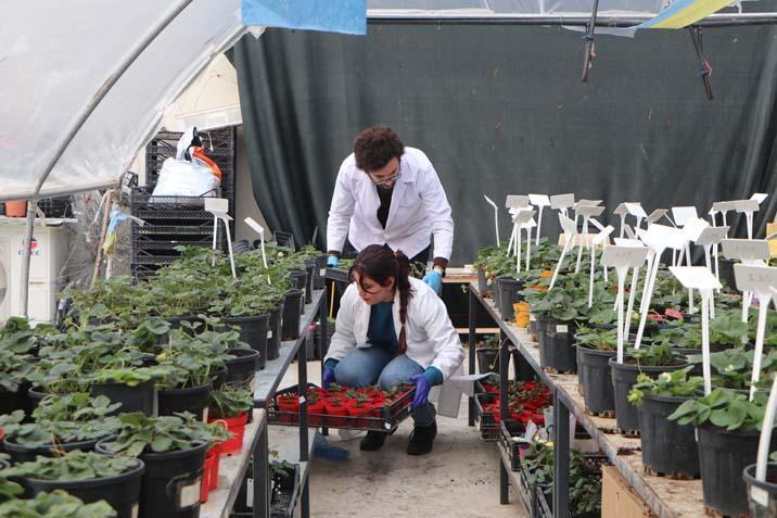 Çukurova Üniversitesi’nde profesörden ilginç çözüm Öğrenciler üşümesin diye terasa kurdu: Büyük avantaj