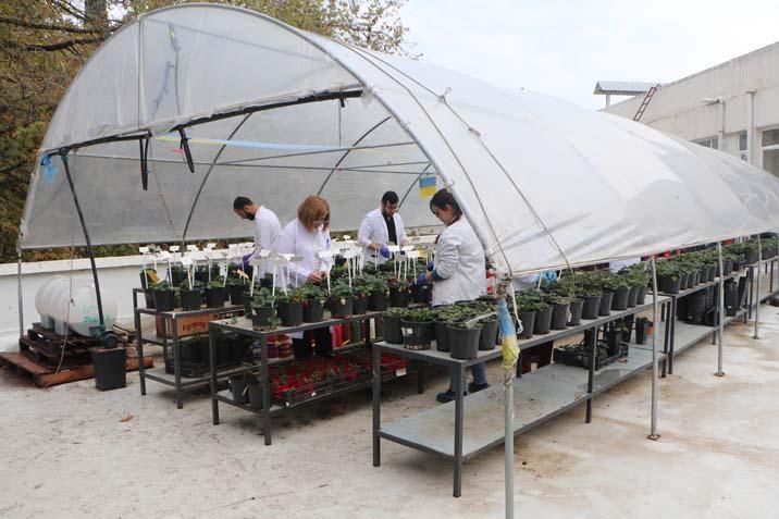 Çukurova Üniversitesi’nde profesörden ilginç çözüm Öğrenciler üşümesin diye terasa kurdu: Büyük avantaj