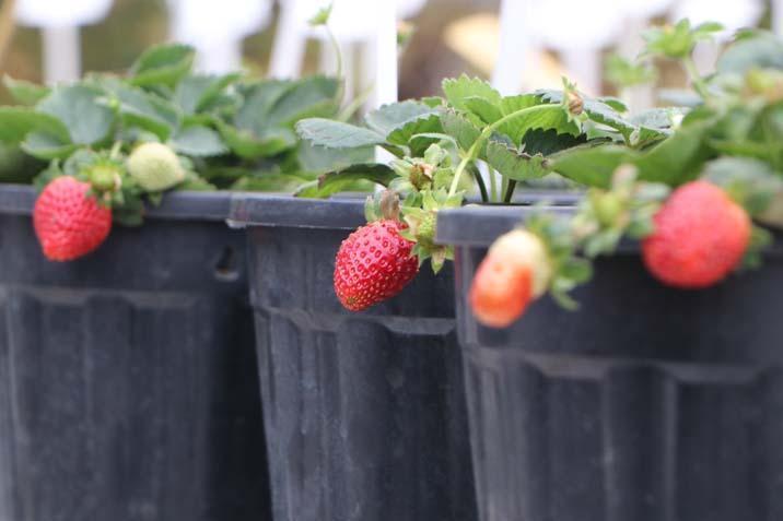 ‘HERHANGİ BİR HASTALIK DURUMUNDA HIZLI MÜDAHALE EDEBİLİYORUZ