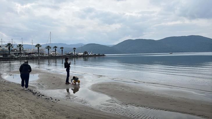 Türkiyede sazlıkların arasında bir cennet: Dünyanın en iyileri listesinde