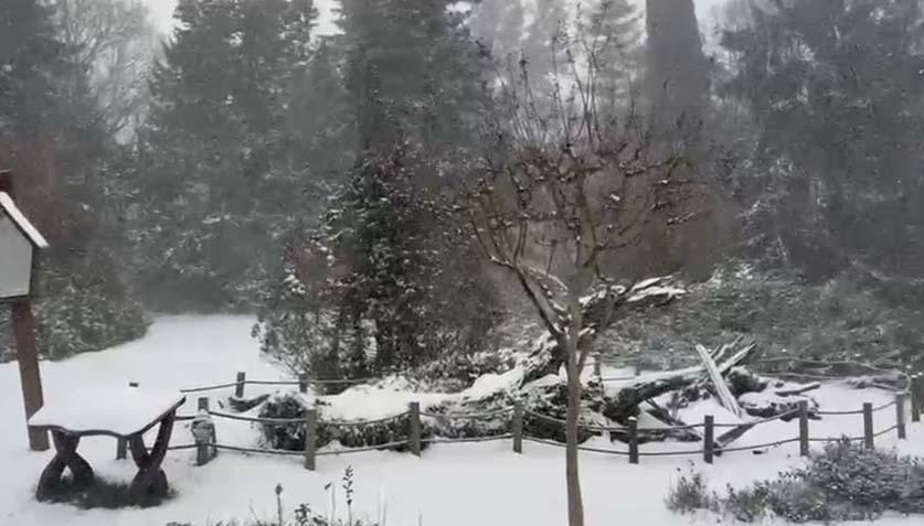 İstanbulda yeni yıla beyaz başlangıç İlk kar manzaraları geldi