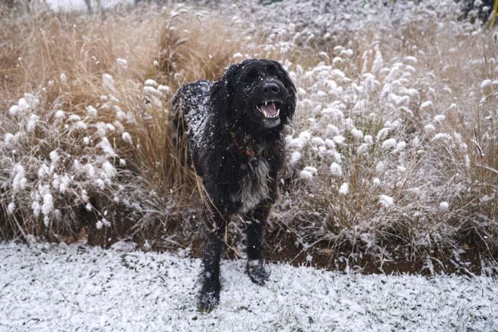İstanbulda yeni yıla beyaz başlangıç İlk kar manzaraları geldi