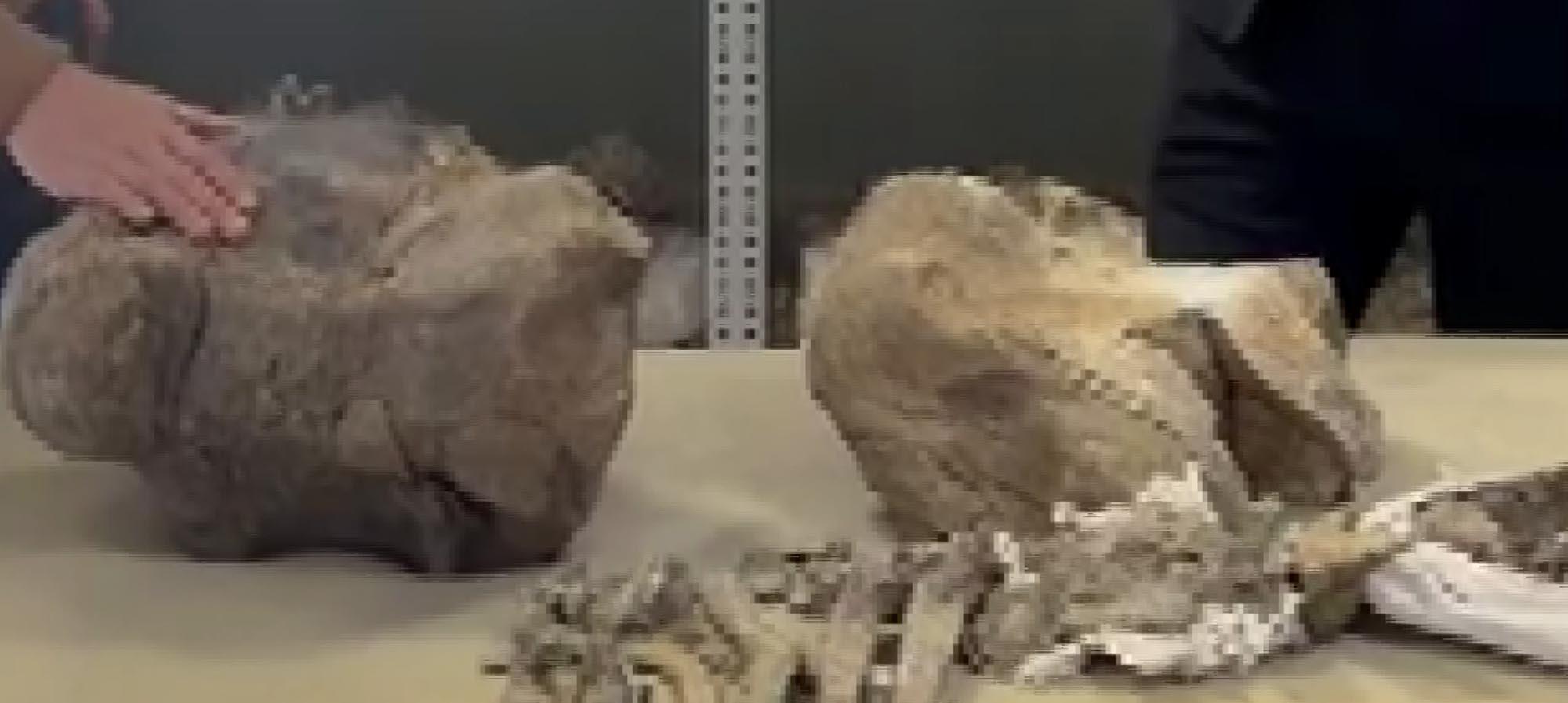 Dünyanın en büyüğüğü Türkiyedeymiş: Paha biçilemez