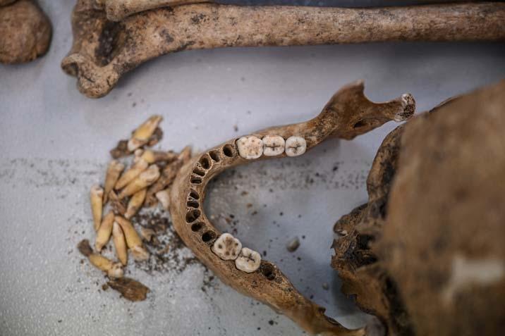 12 bin yıllık sır çözülüyor Diyarbakır’da ilk insanların DNA haritası çıkarılıyor