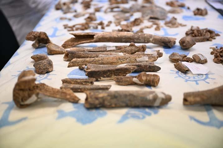 12 bin yıllık sır çözülüyor Diyarbakır’da ilk insanların DNA haritası çıkarılıyor