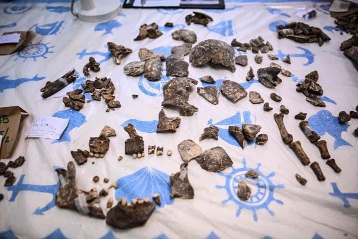 12 bin yıllık sır çözülüyor Diyarbakır’da ilk insanların DNA haritası çıkarılıyor