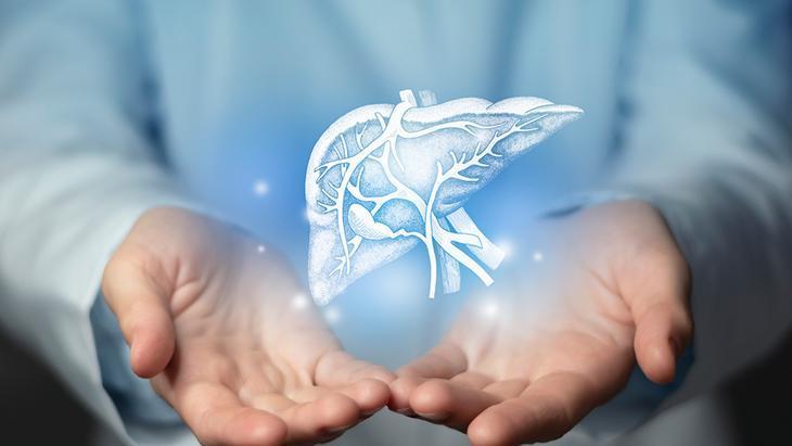 Bir virüsle başlıyor, karaciğeri sessizce bitiriyor 1998 öncesi doğanlara kritik uyarı