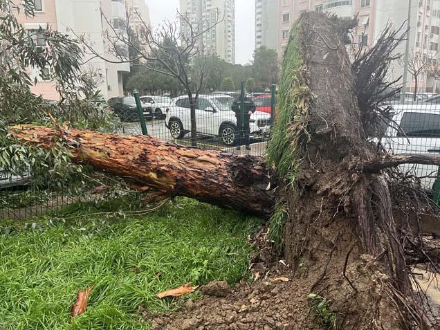 Kentlerden korkutan manzaralar geliyor Okulda cam kırıldı, çok sayıda öğrenci yaralandı