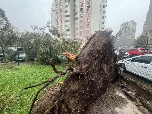 Kentlerden korkutan manzaralar geliyor Okulda cam kırıldı, çok sayıda öğrenci yaralandı