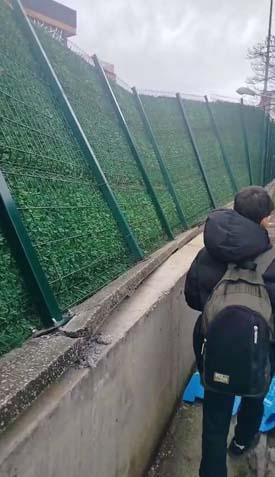 OKULUN KORKULUKLARI DEVRİLDİ