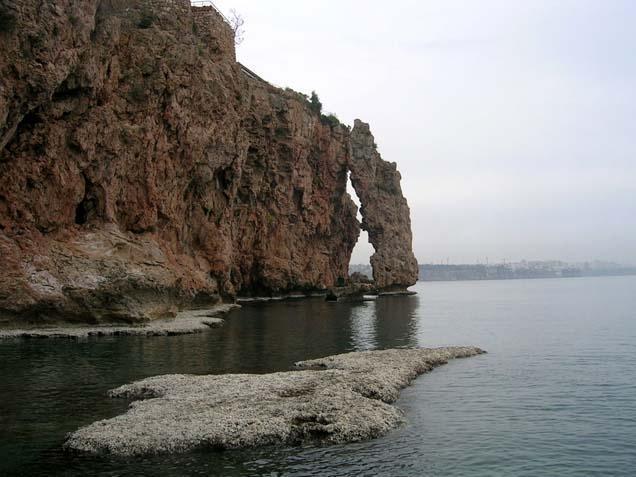 BAŞKA BİLİM İNSANLARI DA TEK DİYOR BAŞKA BİLİM İNSANLARI DA TEK DİYOR