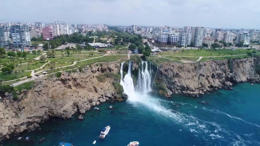 Dünyada tek Antalyadan başka bir yerde yok: ‘En geniş alana yayılmış durumda’ Dünyada tek Antalyadan başka bir yerde yok: ‘En geniş alana yayılmış durumda’