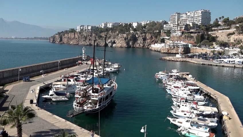 Dünyada tek Antalyadan başka bir yerde yok: ‘En geniş alana yayılmış durumda’ Dünyada tek Antalyadan başka bir yerde yok: ‘En geniş alana yayılmış durumda’