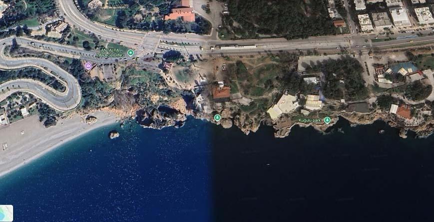 Dünyada tek Antalyadan başka bir yerde yok: ‘En geniş alana yayılmış durumda’ Dünyada tek Antalyadan başka bir yerde yok: ‘En geniş alana yayılmış durumda’