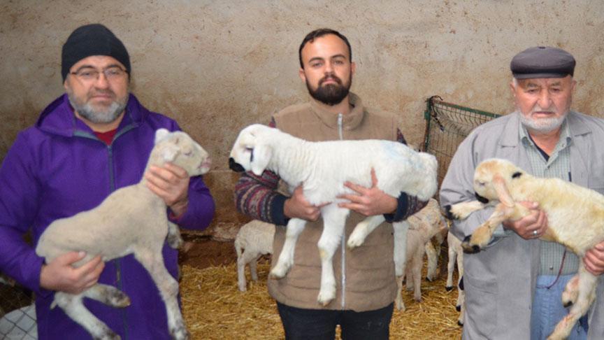 İngiltere’yi bıraktı, köyüne dönüp aile mesleğine başladı: Hiçbir iş benim bu sevdamı gidermedi İngiltere’yi bıraktı, köyüne dönüp aile mesleğine başladı: Hiçbir iş benim bu sevdamı gidermedi