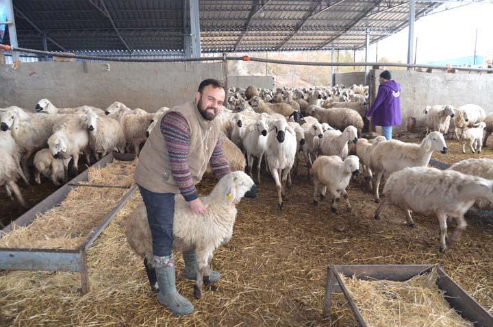 İngiltere’yi bıraktı, köyüne dönüp aile mesleğine başladı: Hiçbir iş benim bu sevdamı gidermedi İngiltere’yi bıraktı, köyüne dönüp aile mesleğine başladı: Hiçbir iş benim bu sevdamı gidermedi