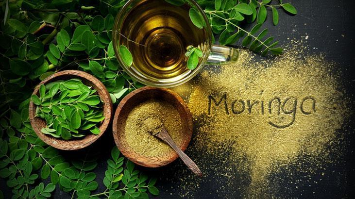 Çillerini yok etmek isteyenlere müjde İbn-i Sinadan lazere meydan okuyan asırlık reçete