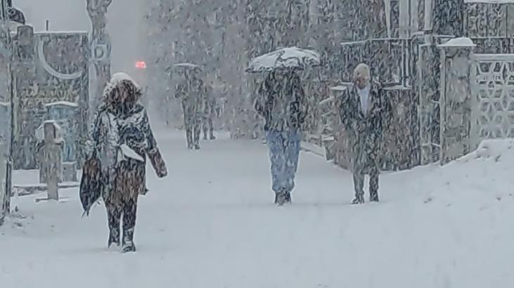 VANDA LAPA LAPA KAR VANDA LAPA LAPA KAR