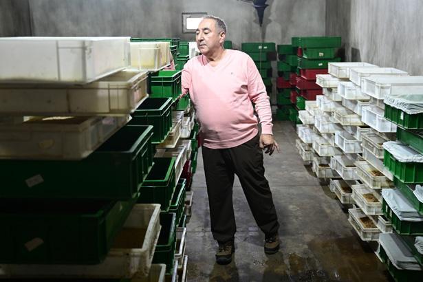 Antalyada sıra dışı bir çiftlik: İçeride milyonlarca Madagaskar besleniyor