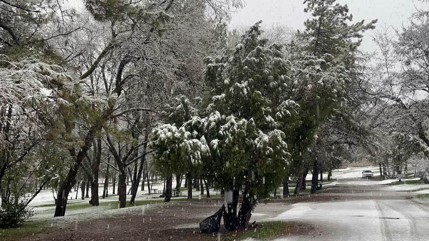 Evler kara gömüldü, ulaşım sağlanamıyor Kar kalınlığı 1,5 metreyi geçti