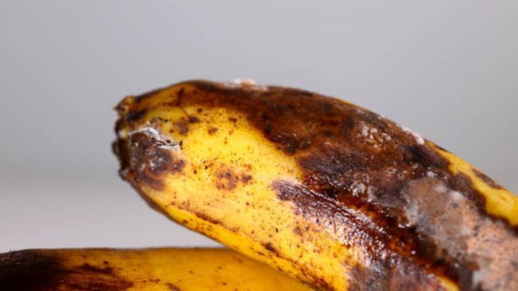 ELMA VEYA AVOKADO İLE AYRI TUTMAK