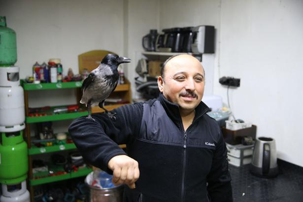 Karganın dönüşümü Doğayı terk etti: Çırak gibi yanımda dolaşıyor