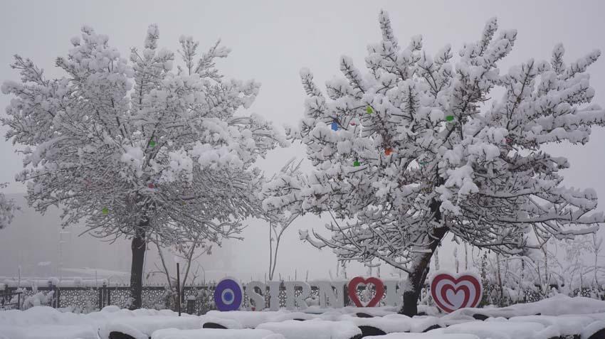 Kar kalınlığı 2 metreyi aştı 15 yıldır böyle bir kar yağışı da görmemiştik