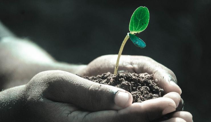 CEMRE DÜŞMESİ NEDİR, NE ZAMAN OLUR CEMRE DÜŞMESİ NEDİR, NE ZAMAN OLUR