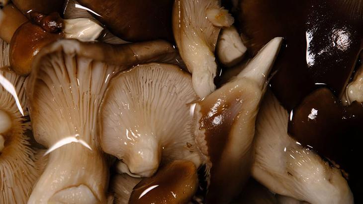 Her hafta tüketince hafızada değişiklik oluyor Meğer beynin kalkanıymış