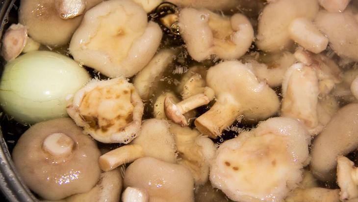 Her hafta tüketince hafızada değişiklik oluyor Meğer beynin kalkanıymış