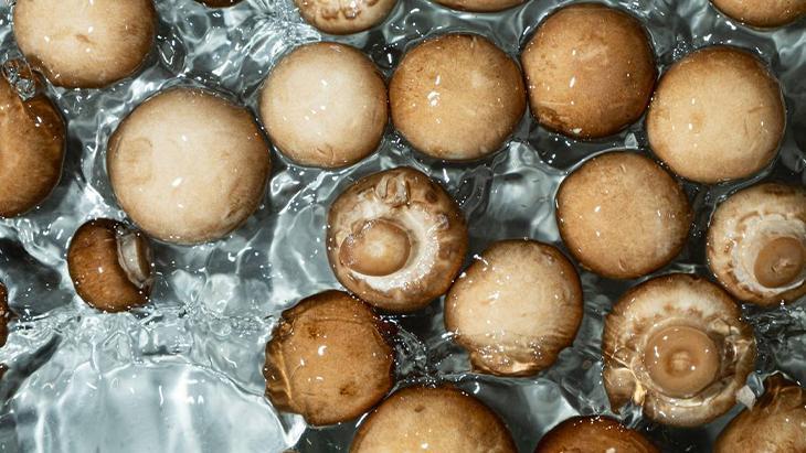 Her hafta tüketince hafızada değişiklik oluyor Meğer beynin kalkanıymış