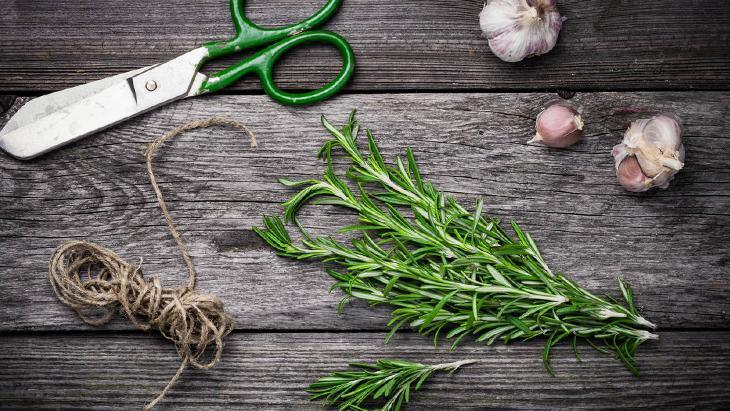 Biberiyeyi kışın böyle koruyun Bunları yapmayan bitkisini kaybediyor