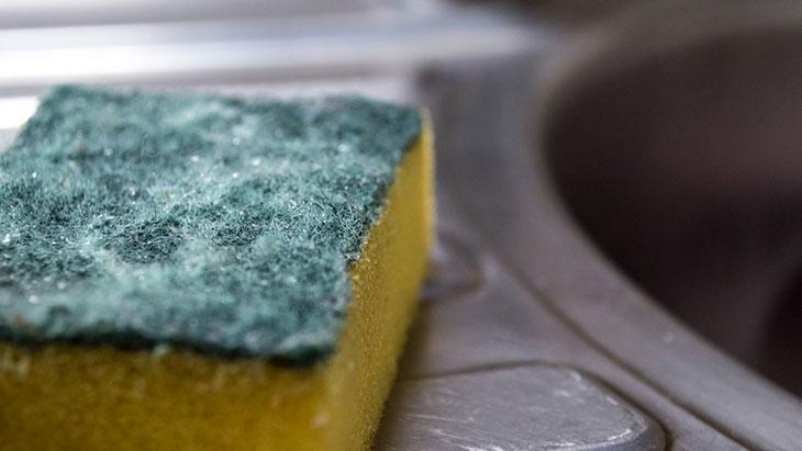 BULAŞIK SÜNGERLERİ VE BEZLER GÖRÜNMEYEN RİSK KAYNAĞI BULAŞIK SÜNGERLERİ VE BEZLER GÖRÜNMEYEN RİSK KAYNAĞI