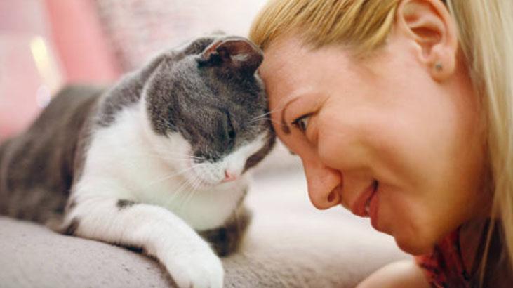 Ne ilgi ne inat... İşte kedilerin gece kapıyı tırmalamasının nedeni