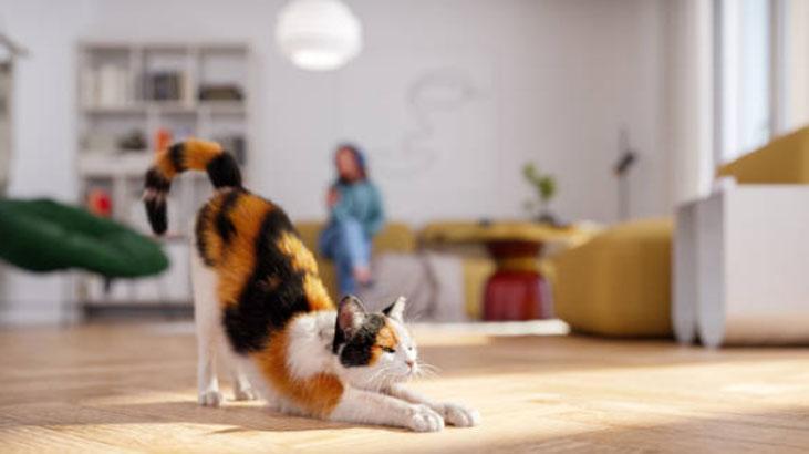 Ceza vermek çözüm değil, sorunu büyütüyor