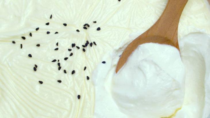 Evde taş gibi yoğurt mayalamanın püf noktaları