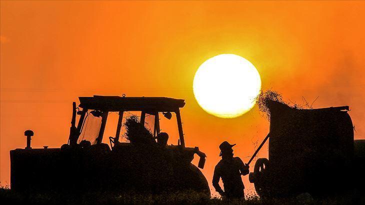 ÇİFTÇİ DESTEK ÖDEMESİ NASIL SORGULANIR