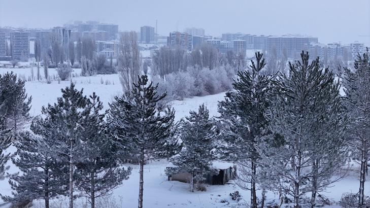Türkiyenin buzdan kenti Aydınlatma direkleri dahi dondu