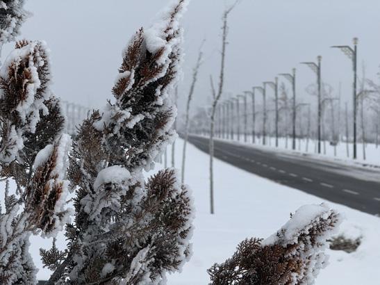 Türkiyenin buzdan kenti Aydınlatma direkleri dahi dondu