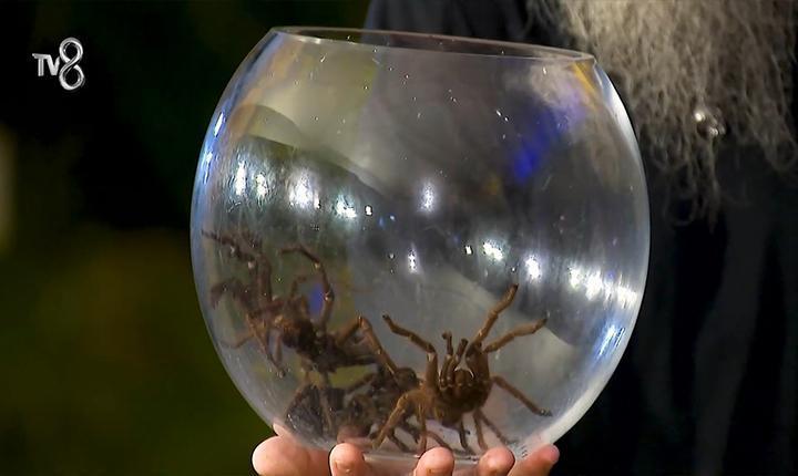 SURVİVORDA BİR İLK 🕷 Böcek cezası nedir Survivor 1. dokunulmazlığı hangi takım kazandı, kim eleme adayı oldu 19 Ocak 2026 Survivorda Bil Bakalım oyununu kim kazandı