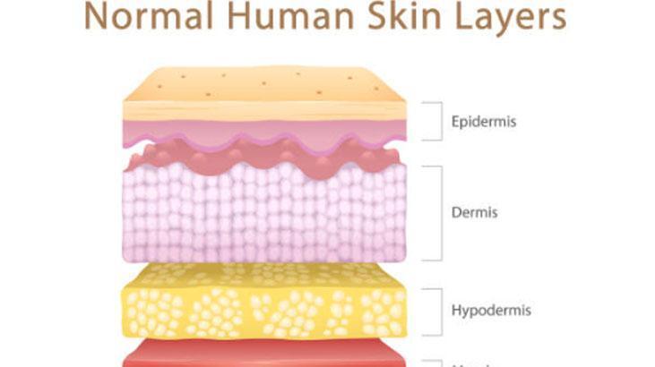Kat kat giyiyoruz ama nafile Vücudun gizli kaloriferi buymuş