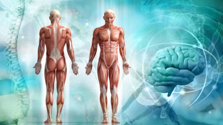 Kat kat giyiyoruz ama nafile Vücudun gizli kaloriferi buymuş