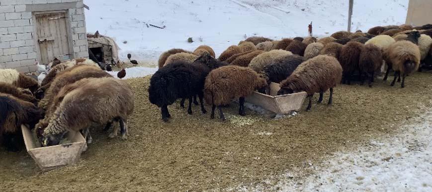 Birçok kent kar altında kaldı! ‘Son 10 yılın en yoğun karı yağdı’ -
                      2. Resim