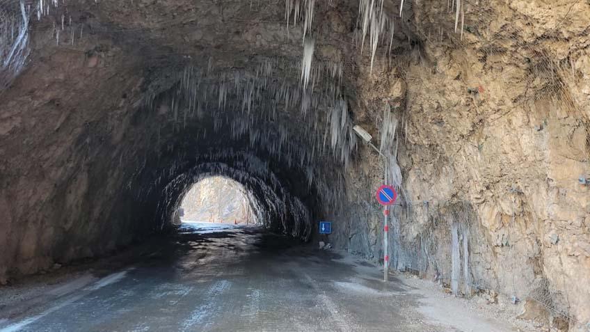 SARKITLAR İNSAN BOYUNA ULAŞTI