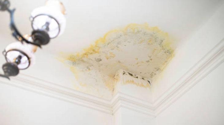 Küf, rutubet, koku kalmıyor Çamaşır suyundan 100 kat etkiliymiş, anında çıkarıyor