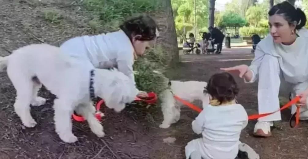 Kızının son halini paylaştı Asya Moneye yorum yağdı: Gonca Vuslateri ikizini doğurmuş