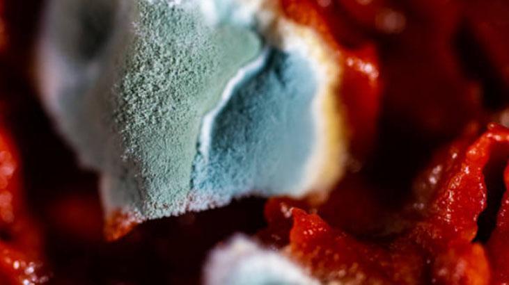 Ne küfleniyor ne bozuluyor Aşçıların salça saklama tekniği ortaya çıktı Ne küfleniyor ne bozuluyor Aşçıların salça saklama tekniği ortaya çıktı